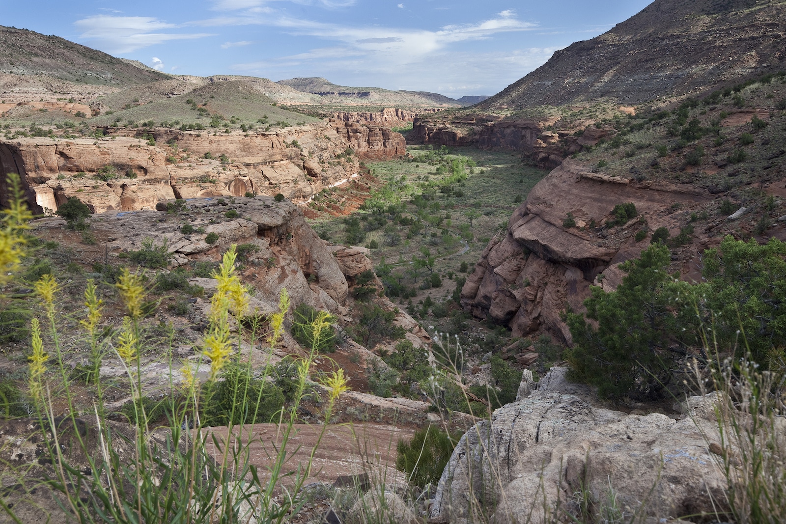 Dominguez Canyon NCA Hiking Colorado