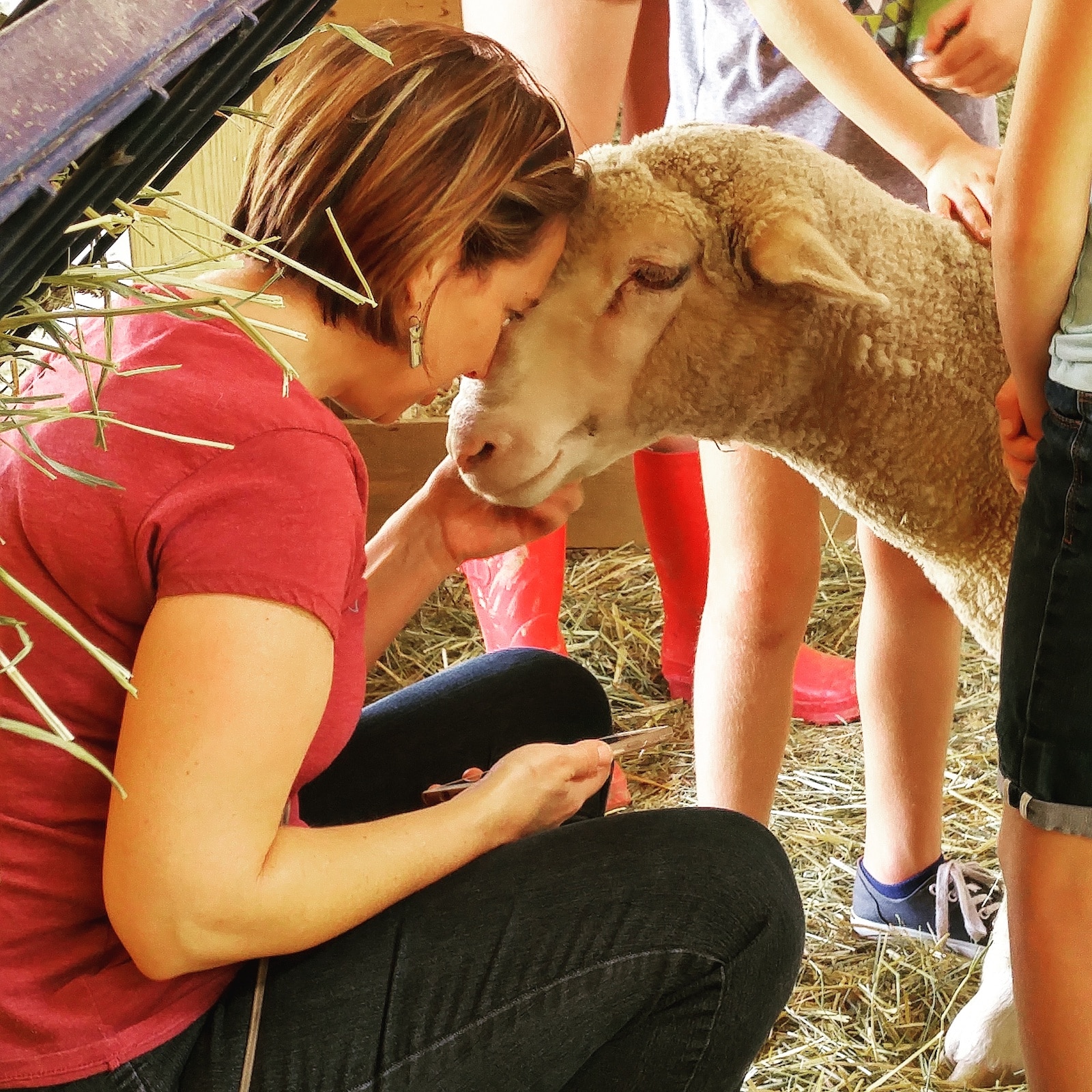 Image of a woman and sheep touching heads at the Luvin Arms Animal Sanctuary in Erie, Colorado