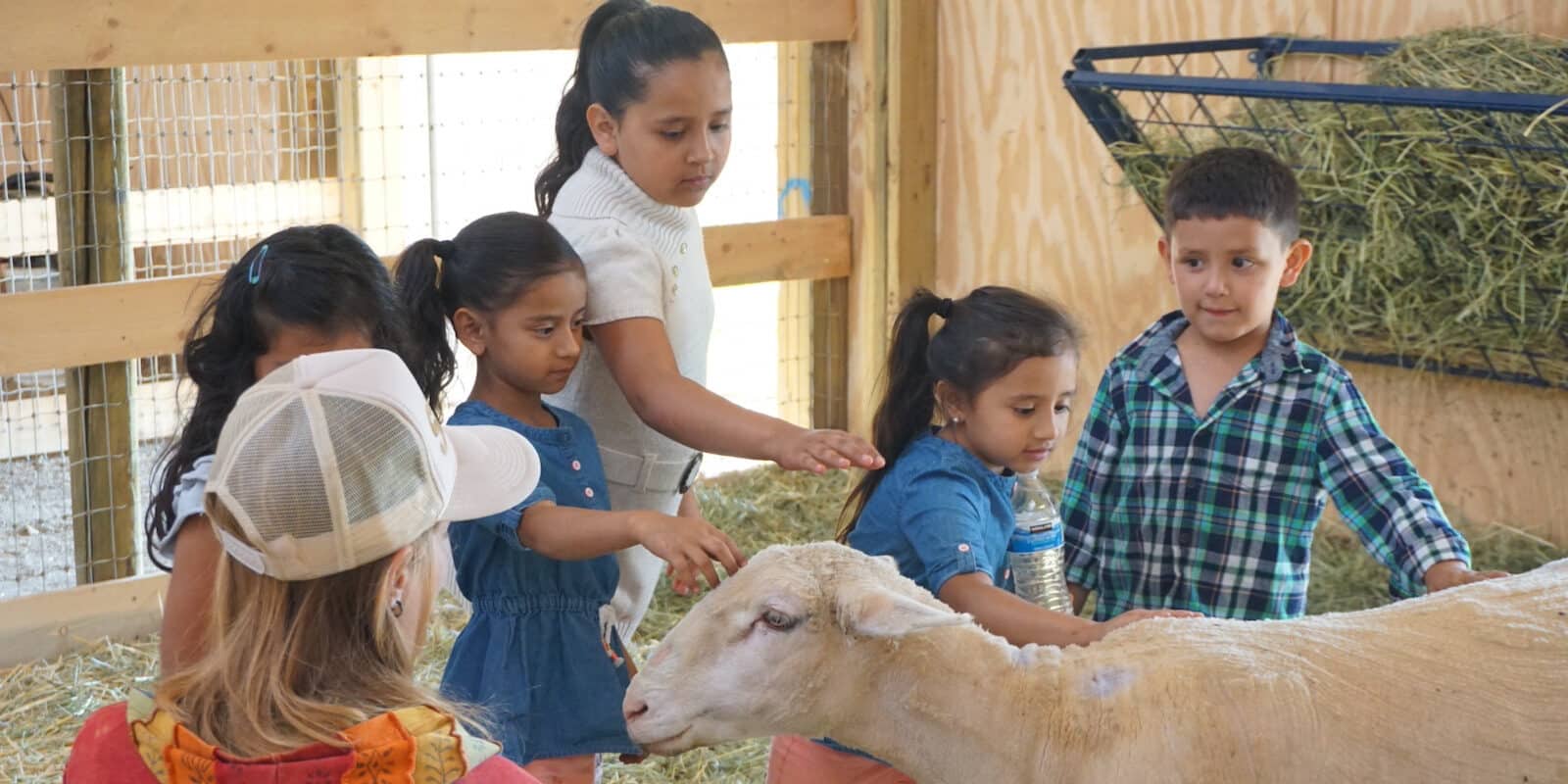 Image of children on a tour at the Luvin Arms Animal Sanctuary in Erie, Colorado