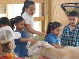 Image of children on a tour at the Luvin Arms Animal Sanctuary in Erie, Colorado