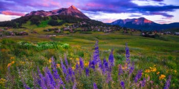 Mount Crested Butte Summer Sunset Colorado Wildflower