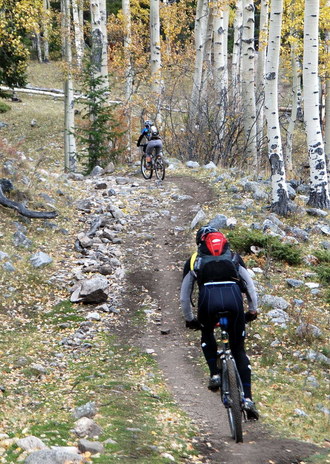 Mountain Biking on The Colorado Trail in Salida