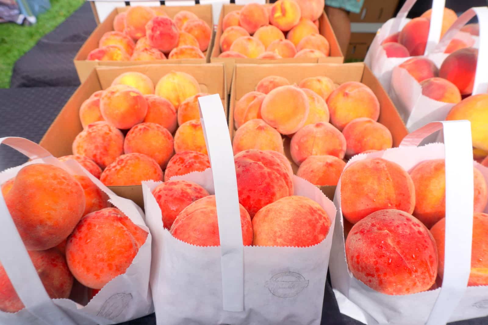 Palisade Peach Festival Colorado Peaches in Bags