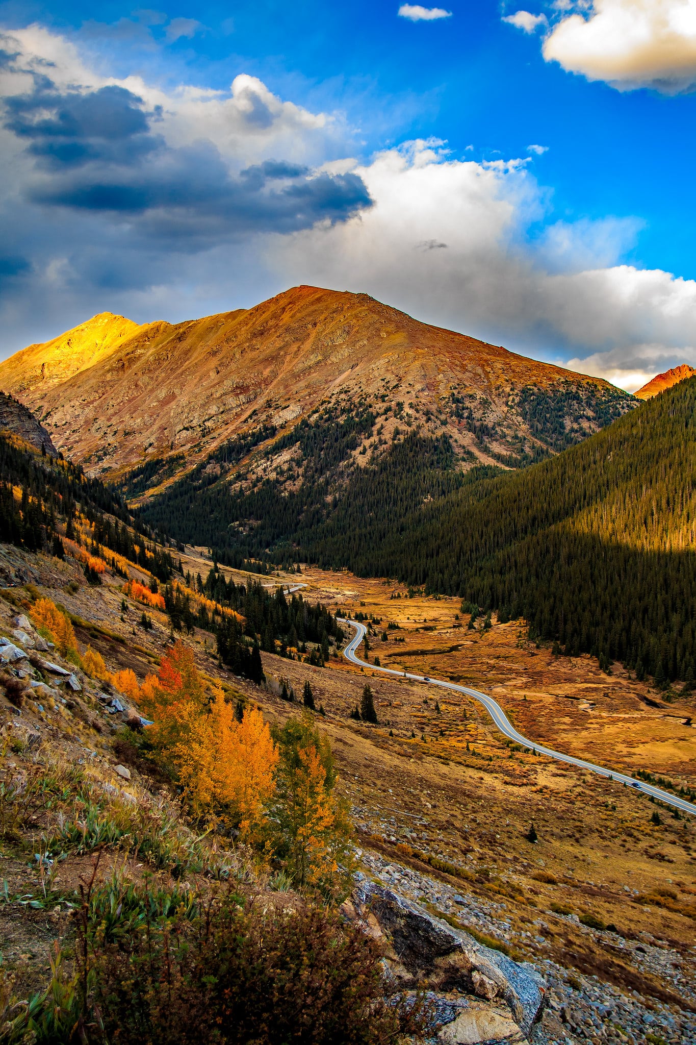 Golden leaves in mountain valley