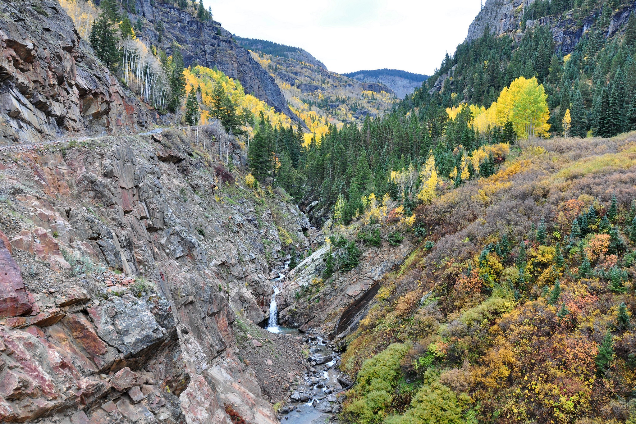 Aspens in mountain valley