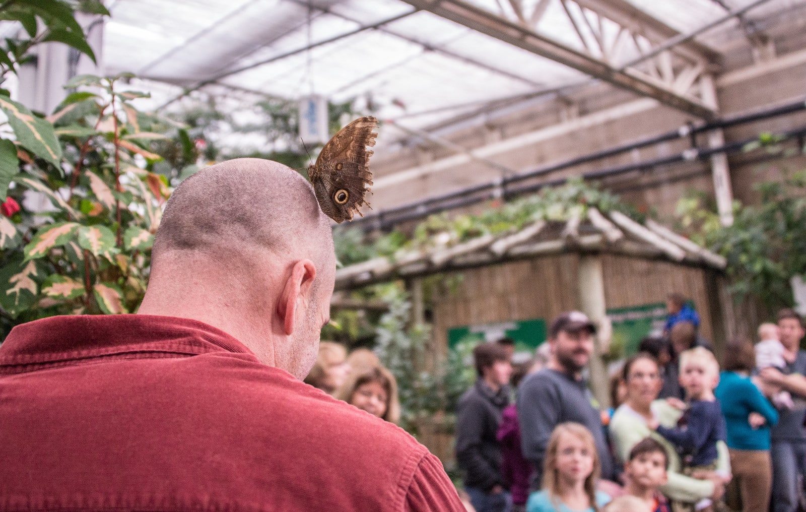 Butterfly Pavilion, Colorado