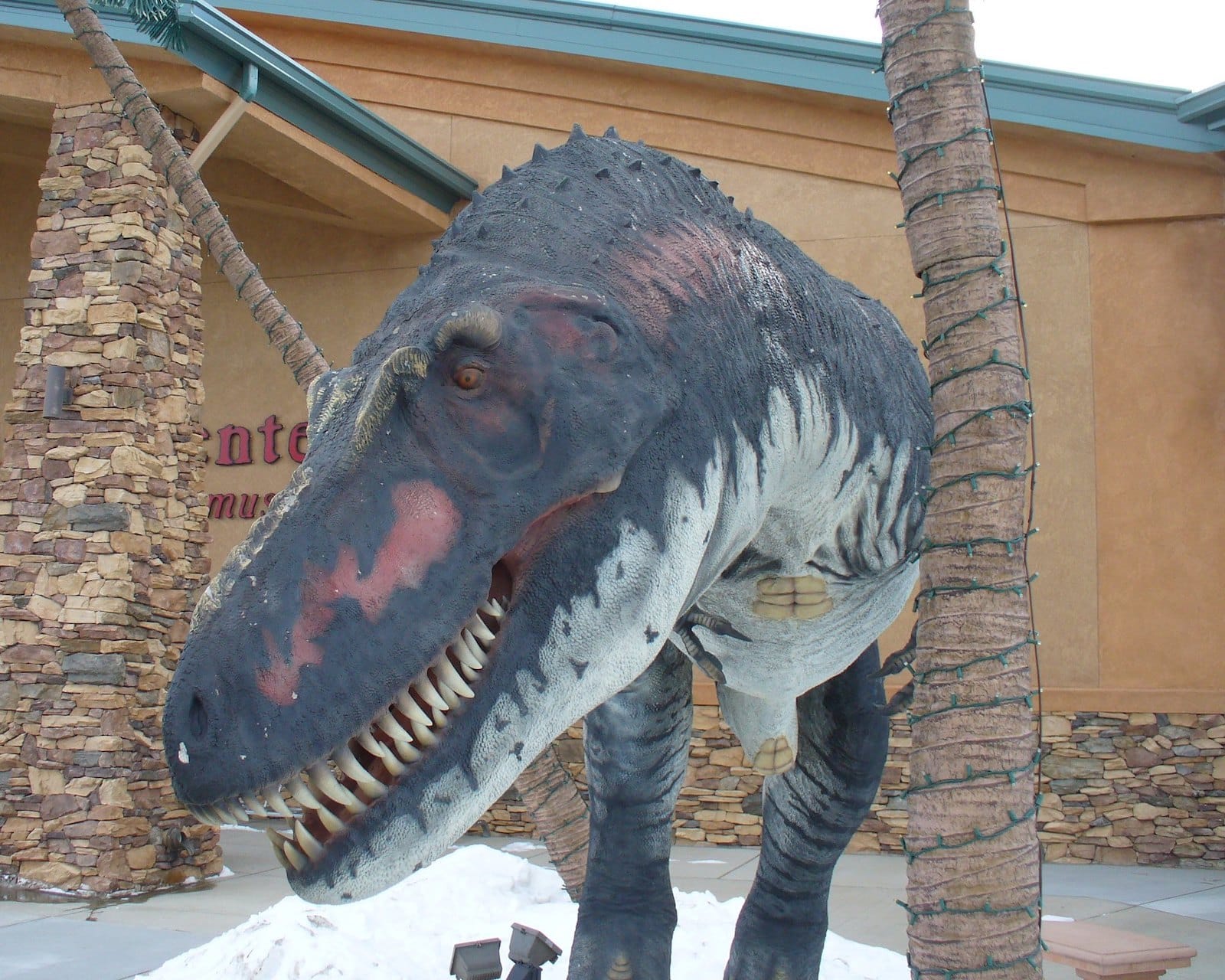 Rocky Mountain Dinosaur Resource Center, Colorado Springs