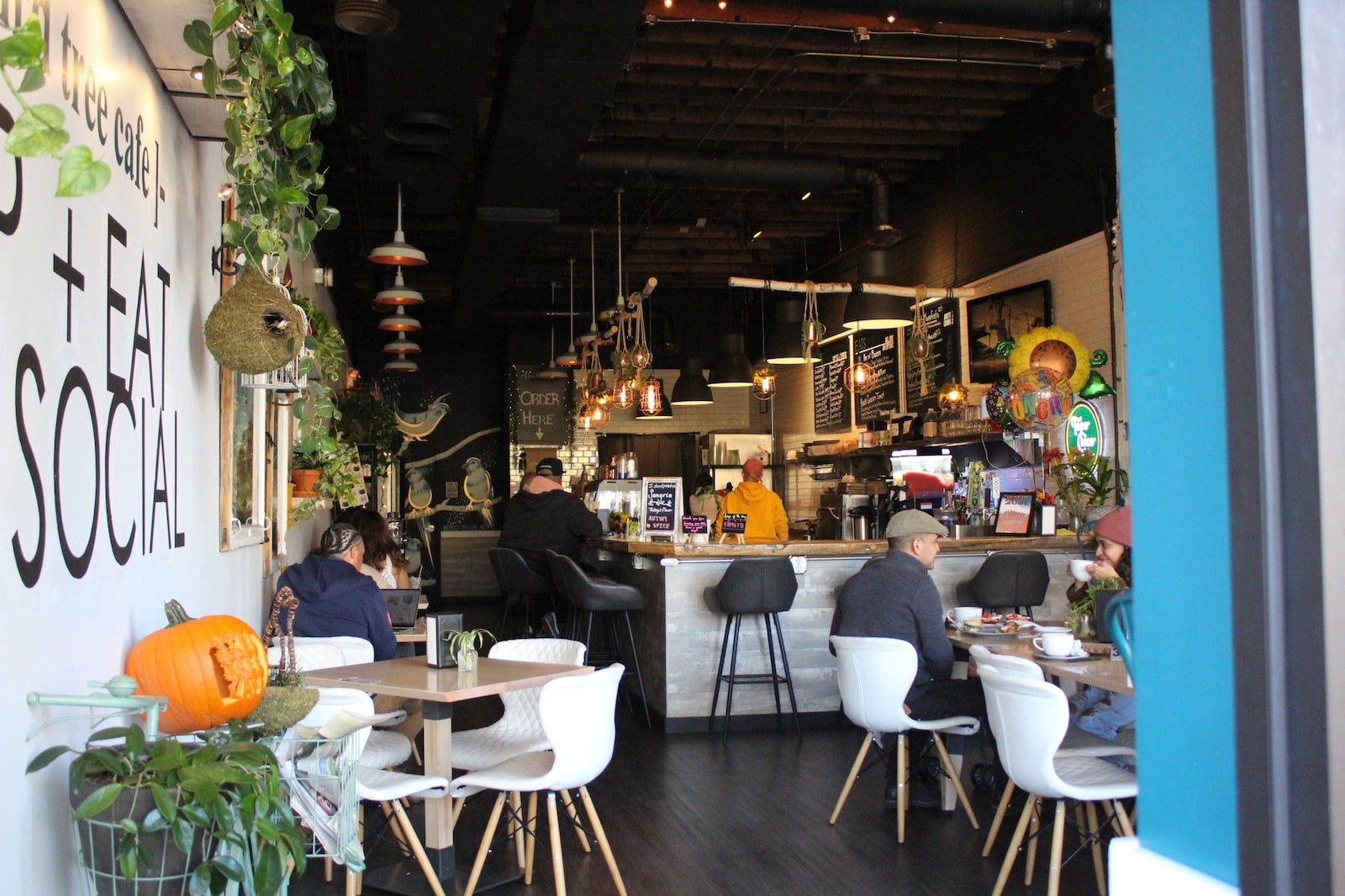 Image of the interior of Bird Tree Cafe in Colorado Springs, CO