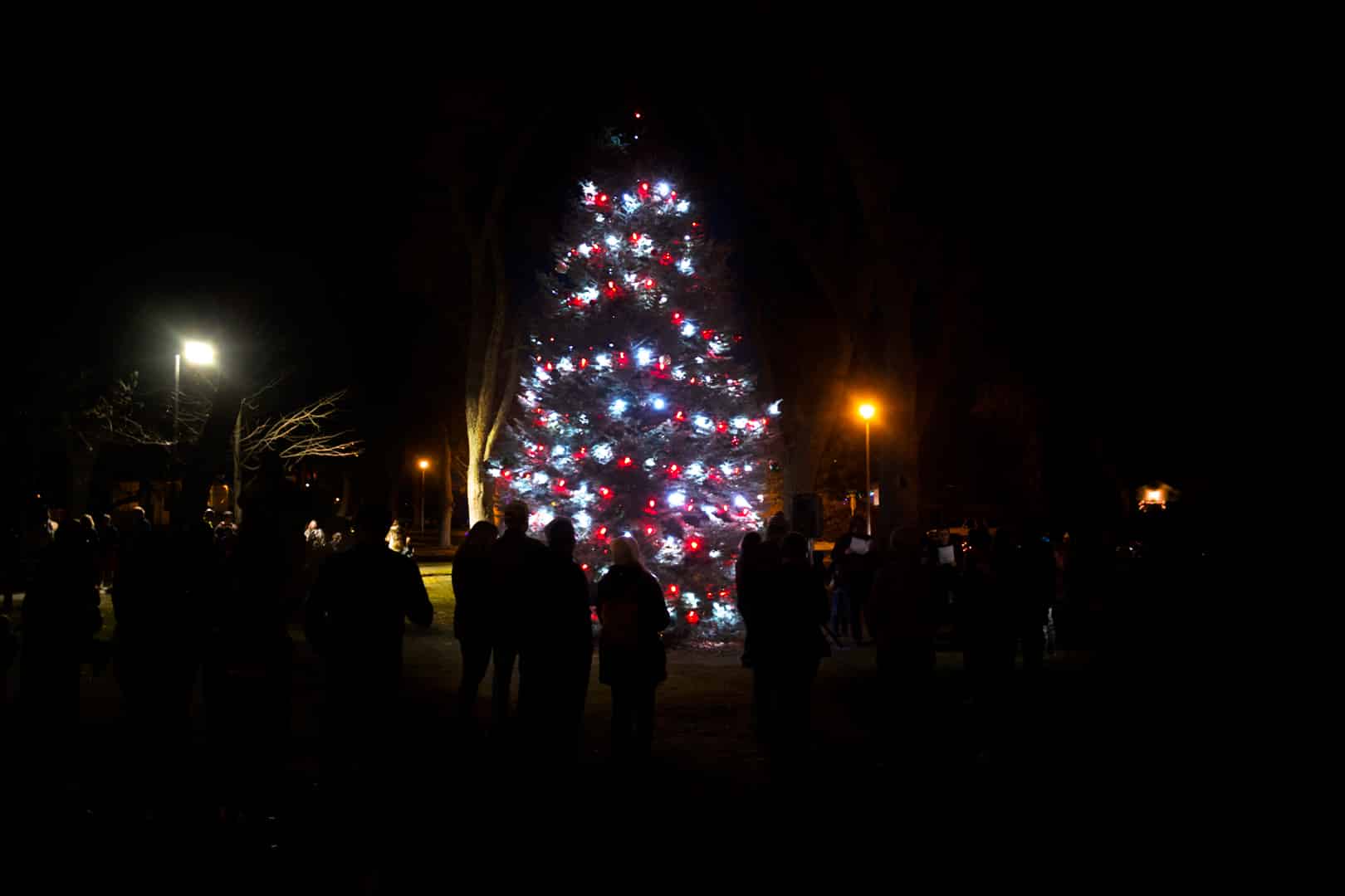 Lit up Christmas Tree on a dark night