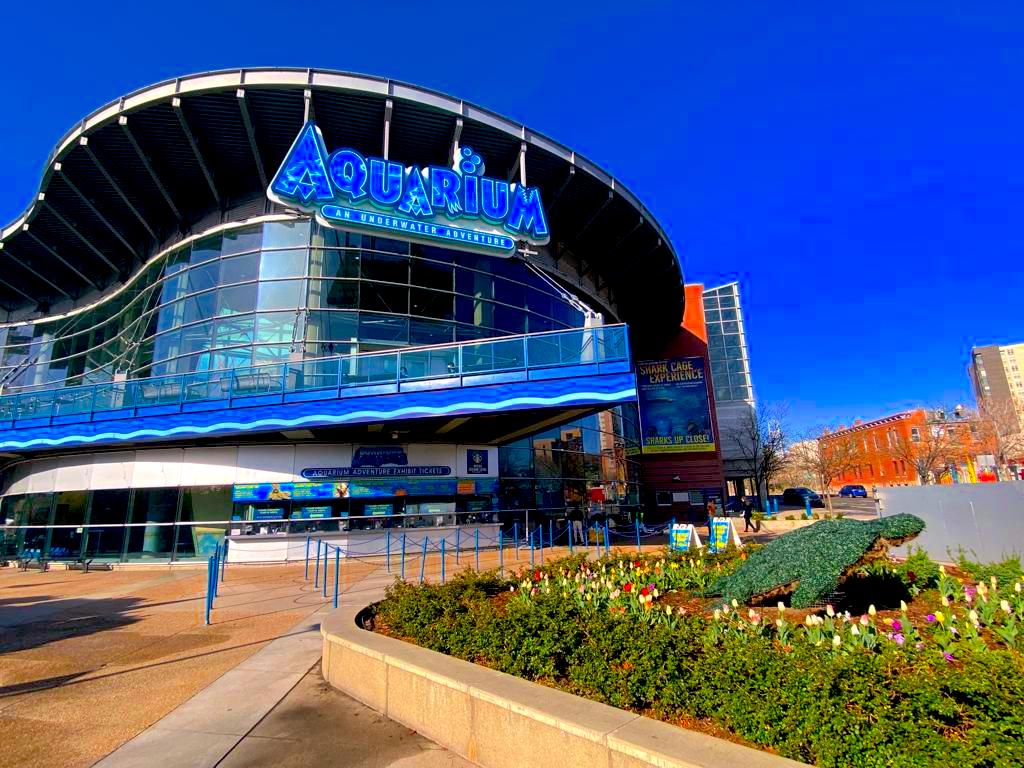 Aquarium building
