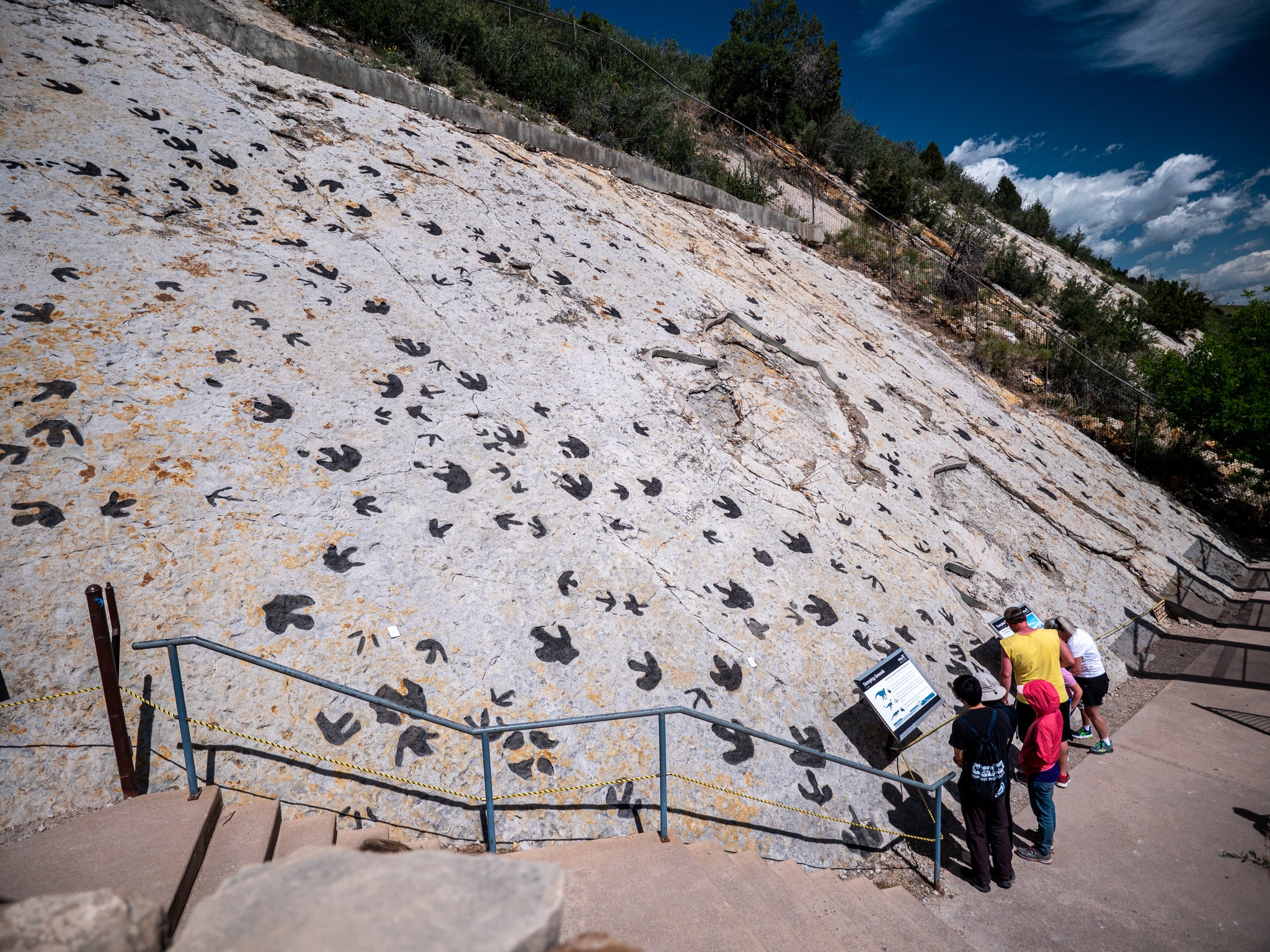 Dinosaur tracks