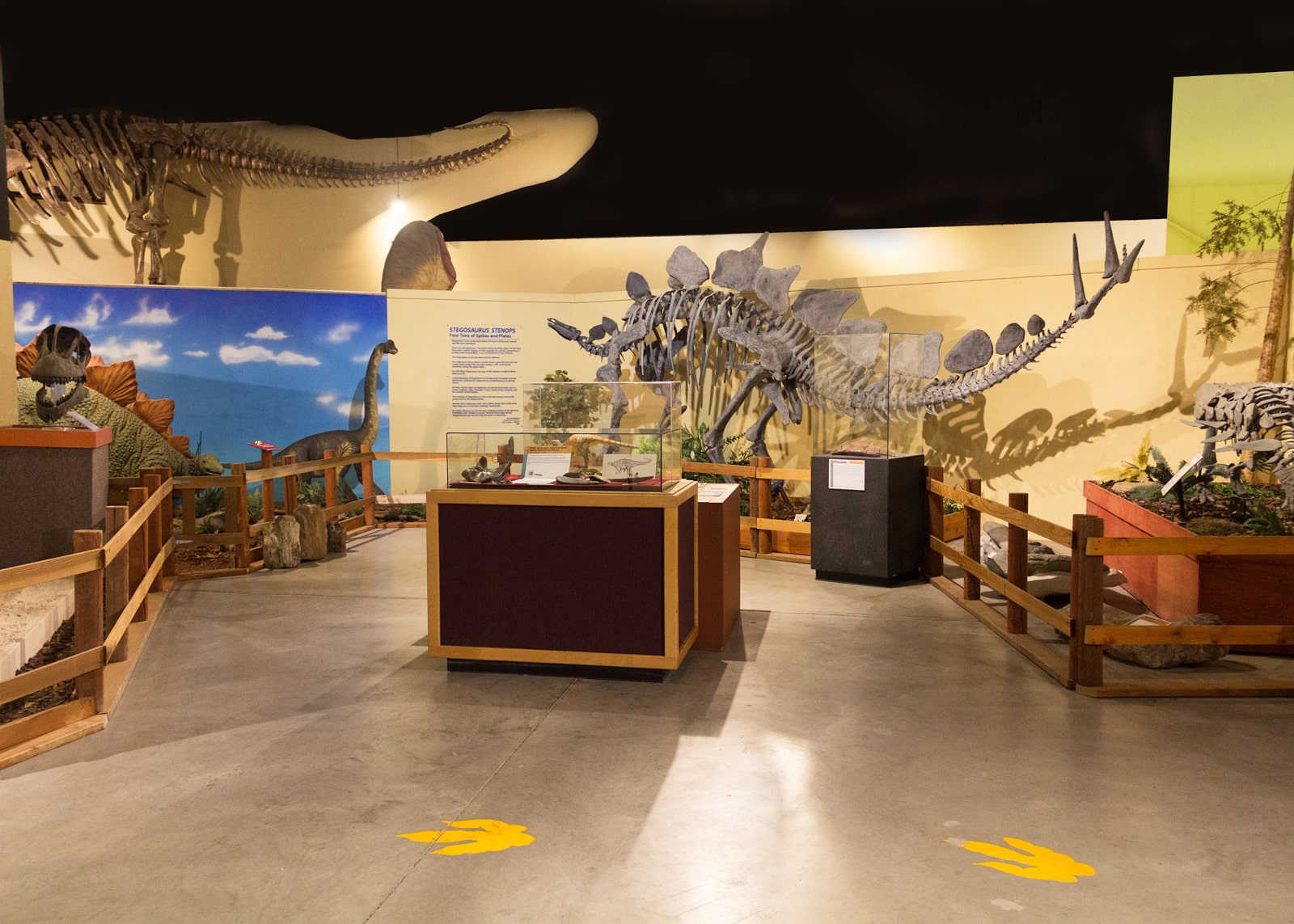 Dinosaur Journey Center Exhibit in Fruita, Colorado