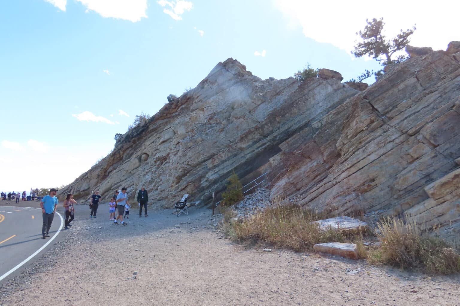 Discovering Dinosaurs in Colorado