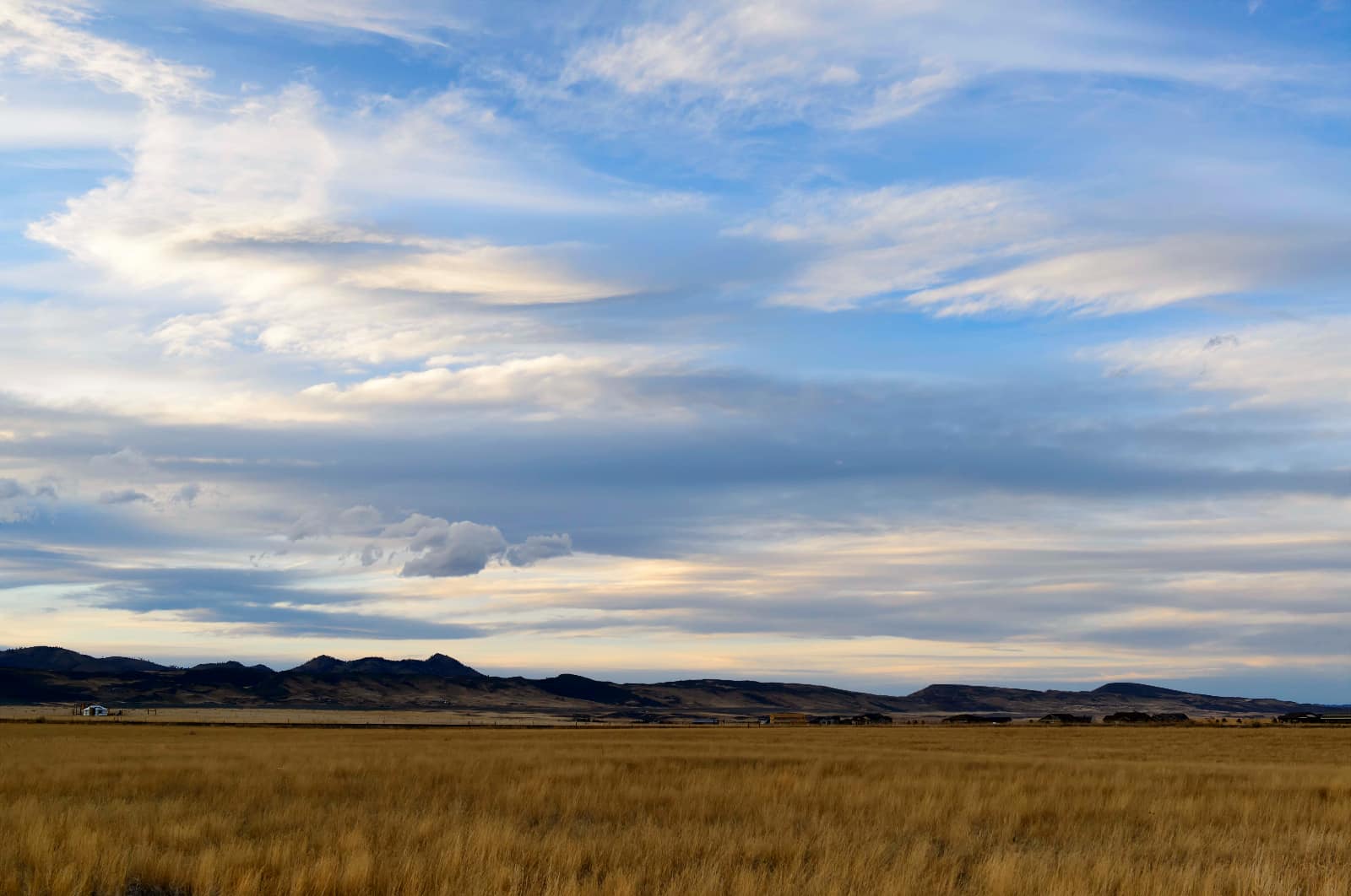 Landscape, Fort Collins, Colorado