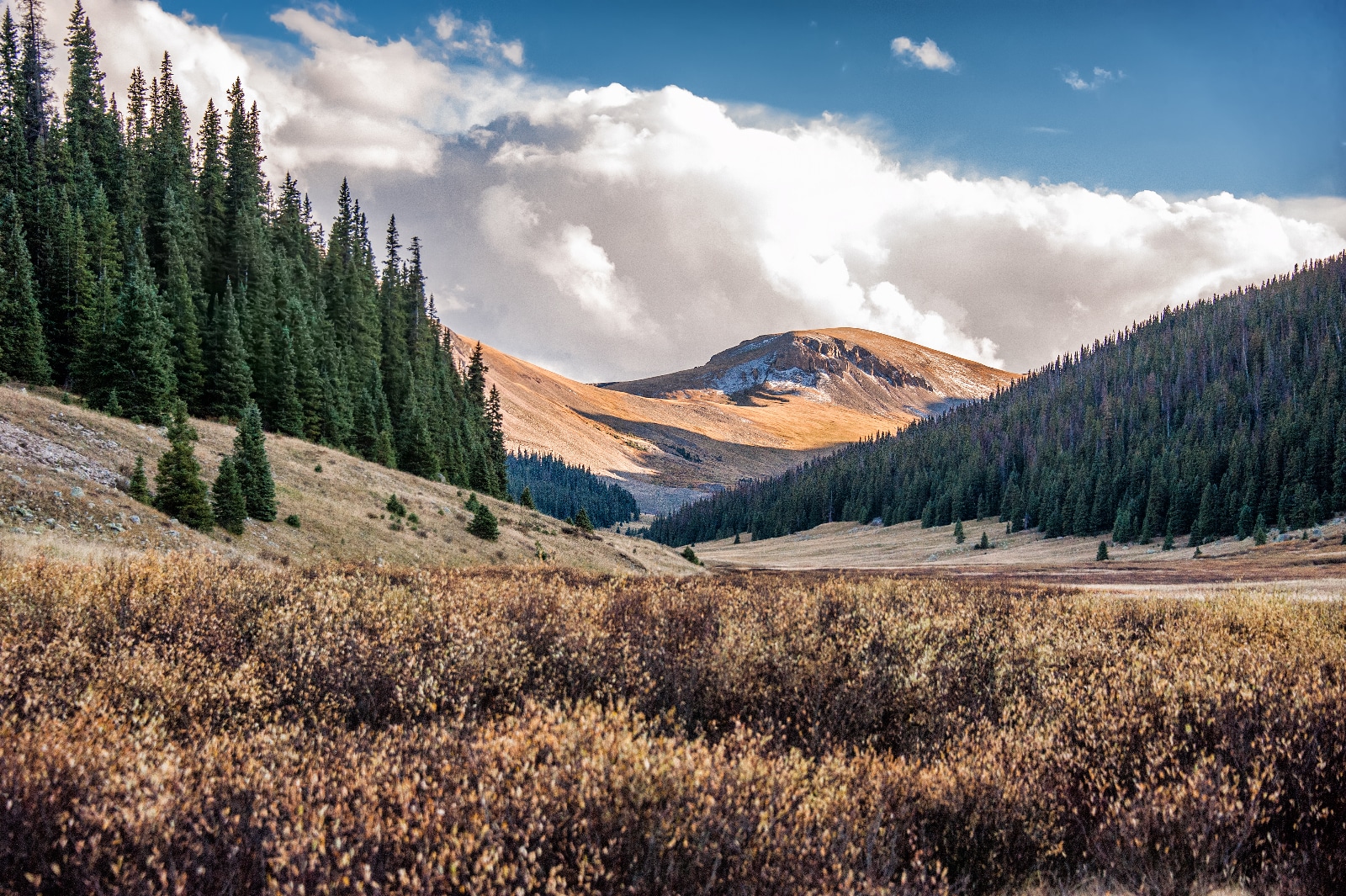 Mountain Landscape in Colorado