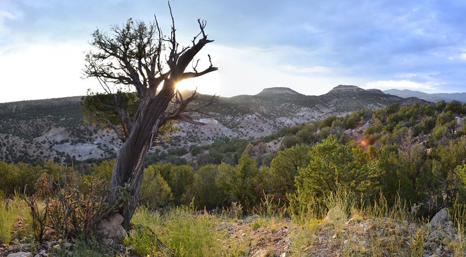 Open Landscape of the Garden Park Fossil Area, Colorado