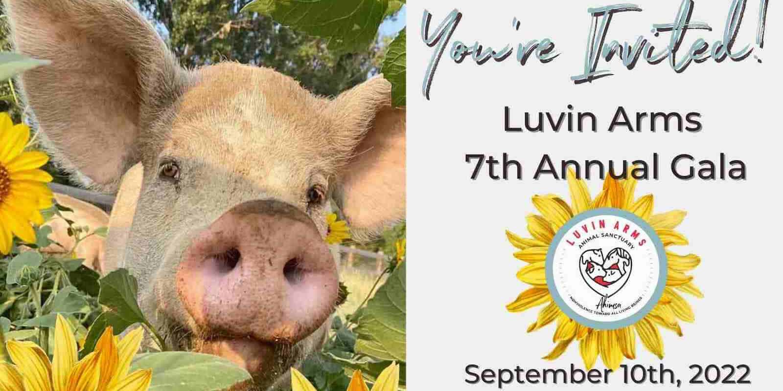 Image of the flyer for the Luvin Arms Gala in Erie, Colorado