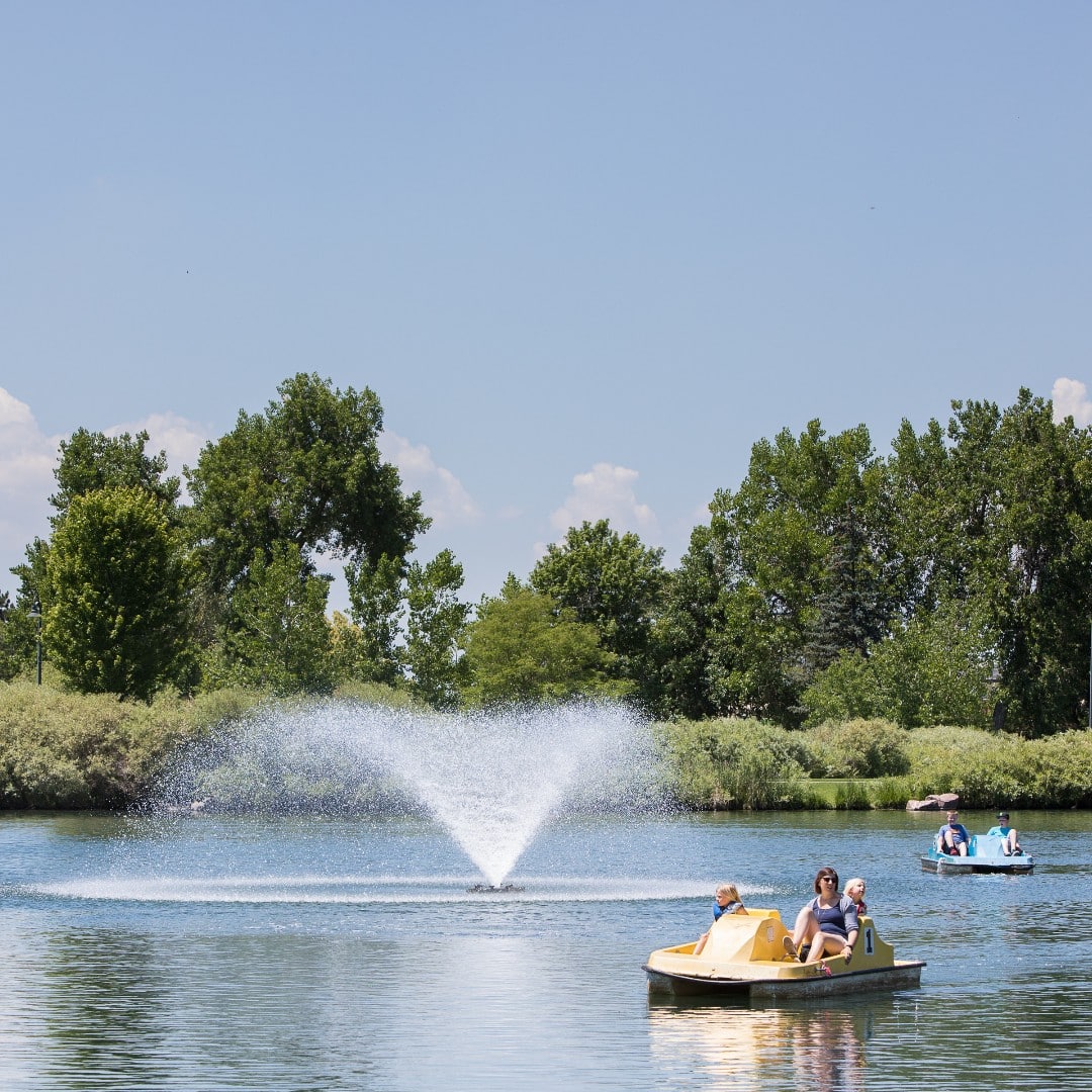 Pedal boats in a pond in Northglenn