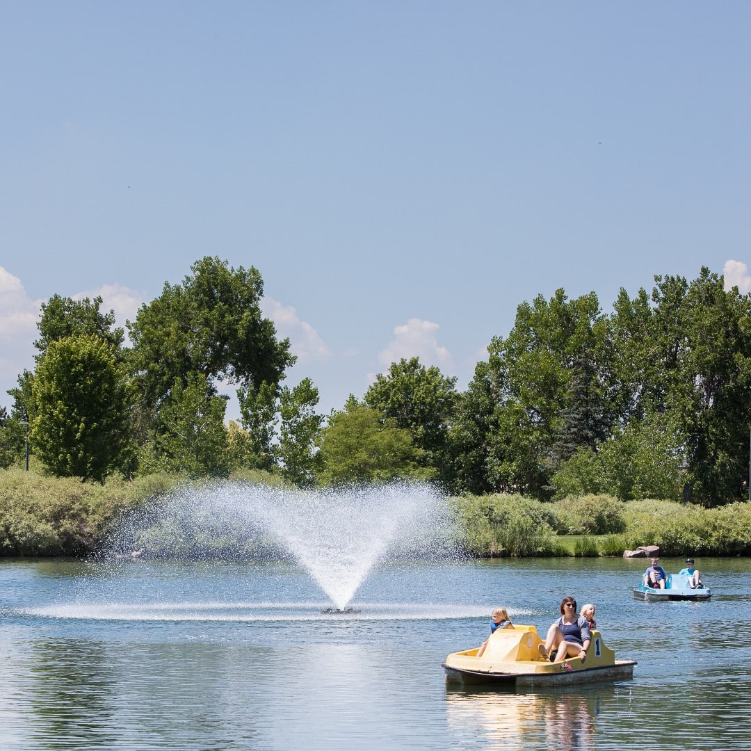 Pedal boats in a pond