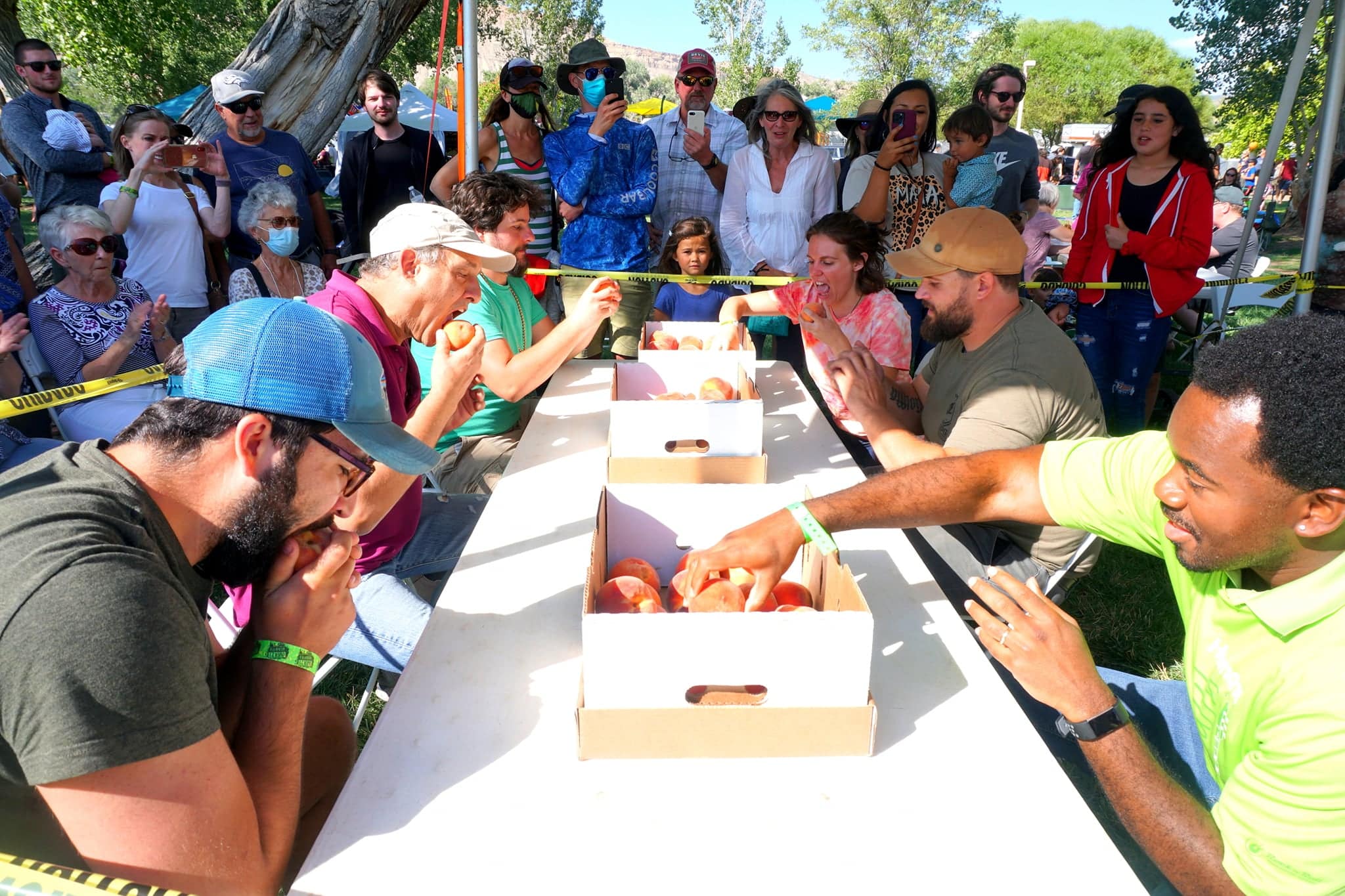 Long white table with people sitting on both sides reaching into wooden boxes of peaches at the Palisade Peach Festival held each August