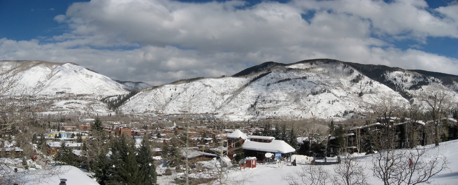 Snowy Aspen, Colorado