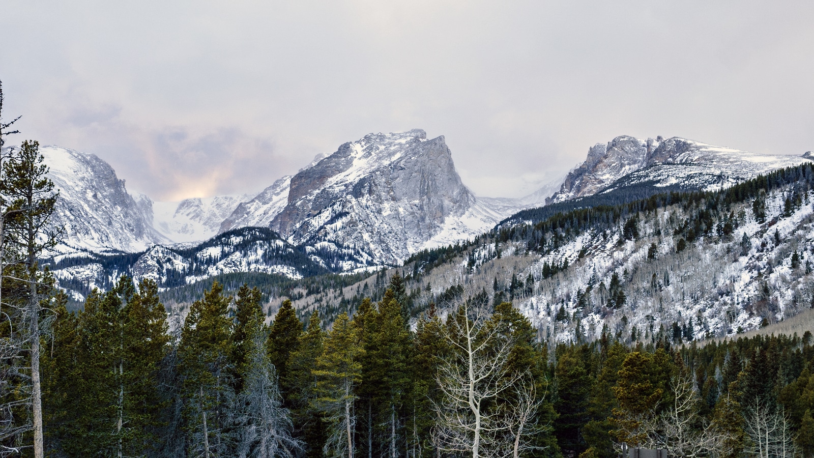 Mountain Snow in Colorado