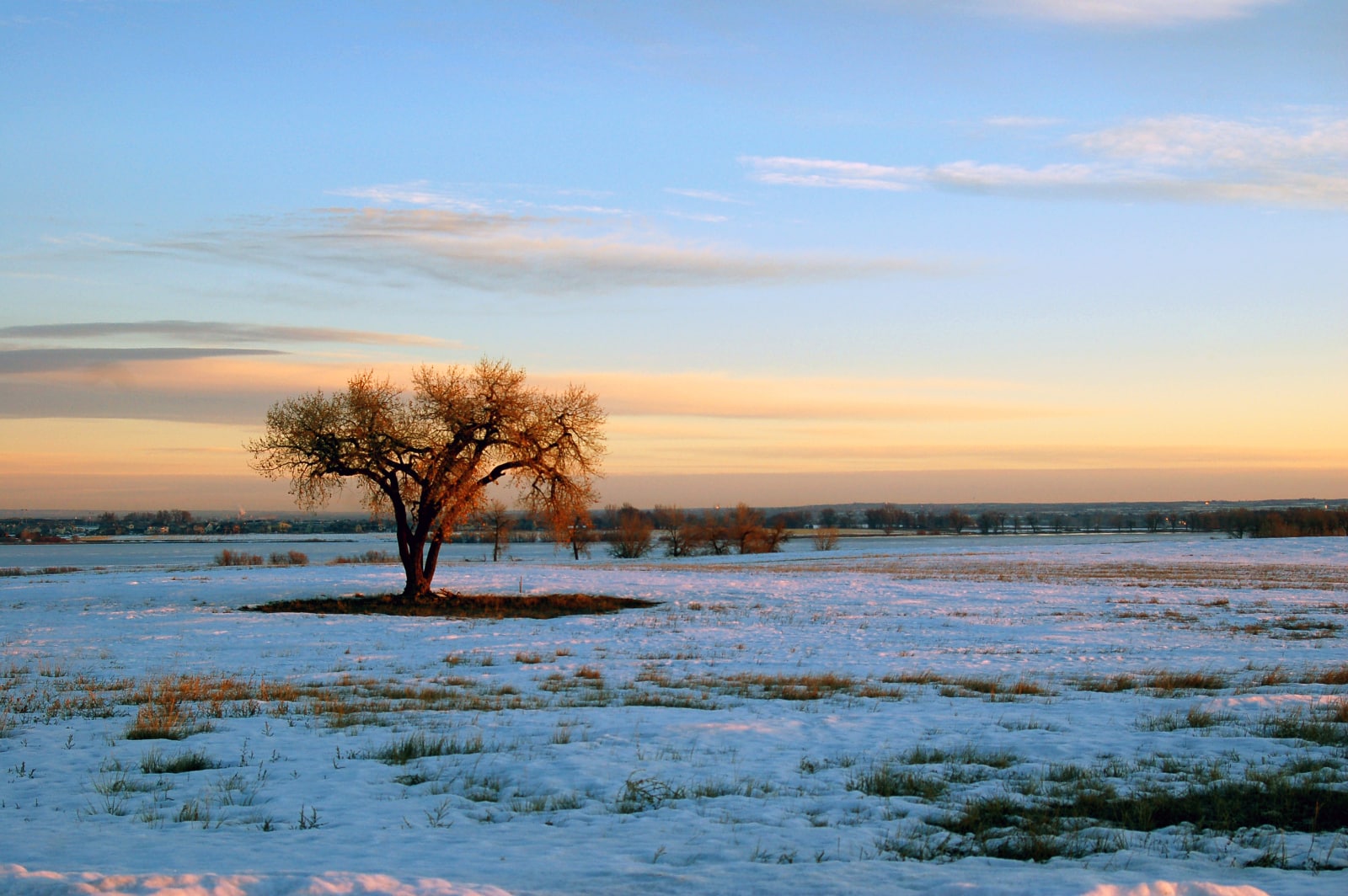 Snowy Landscape, Fort Collins, Colorado