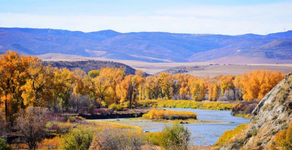 Fall trees surrounding river