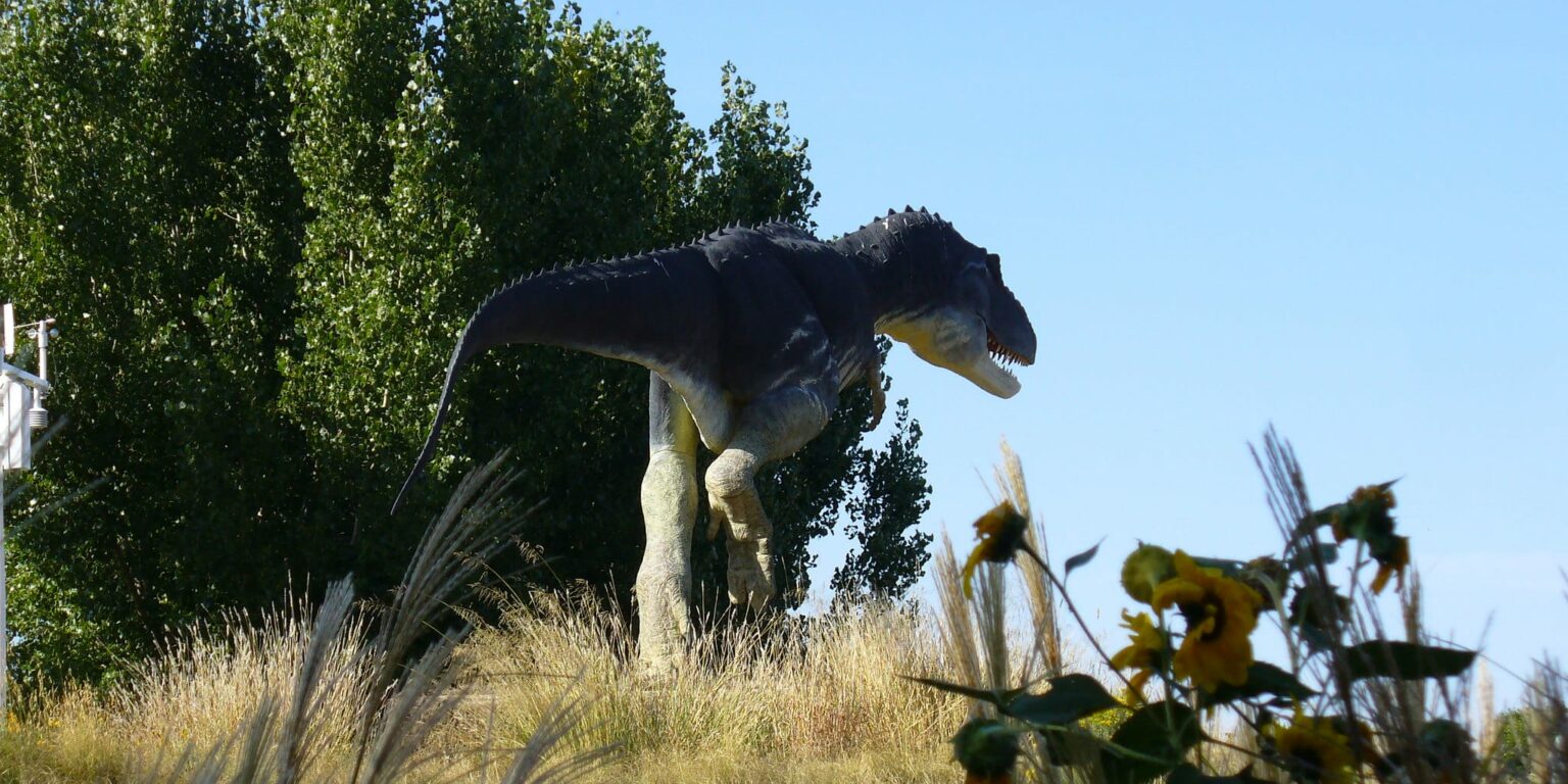 Discovering Dinosaurs in Colorado
