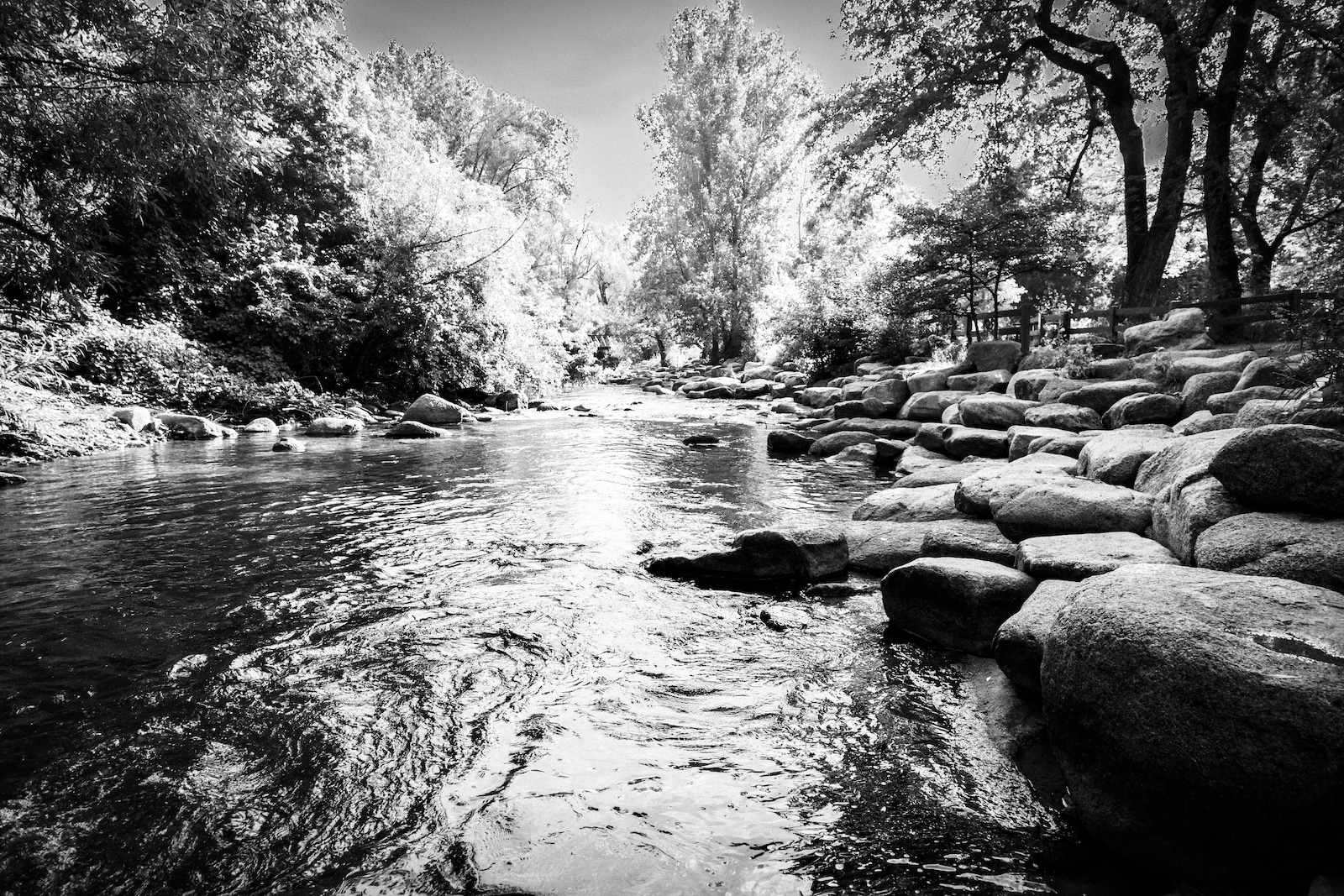 Black and White Photo of Boulder Creek in Downtown Boulder