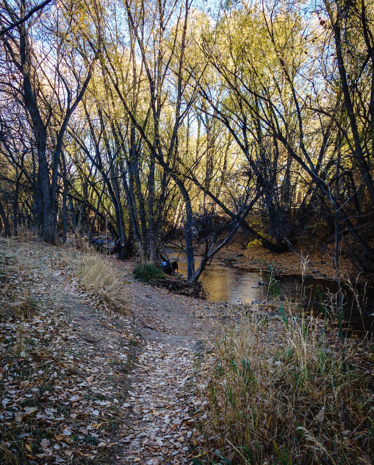 Boulder Creek Colorado