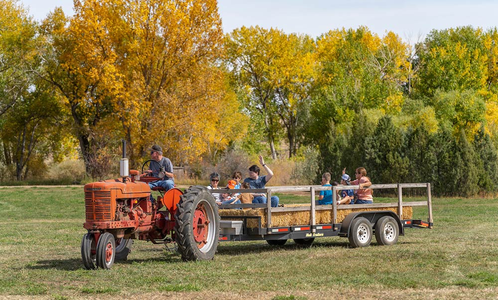 Tractor ride with kids