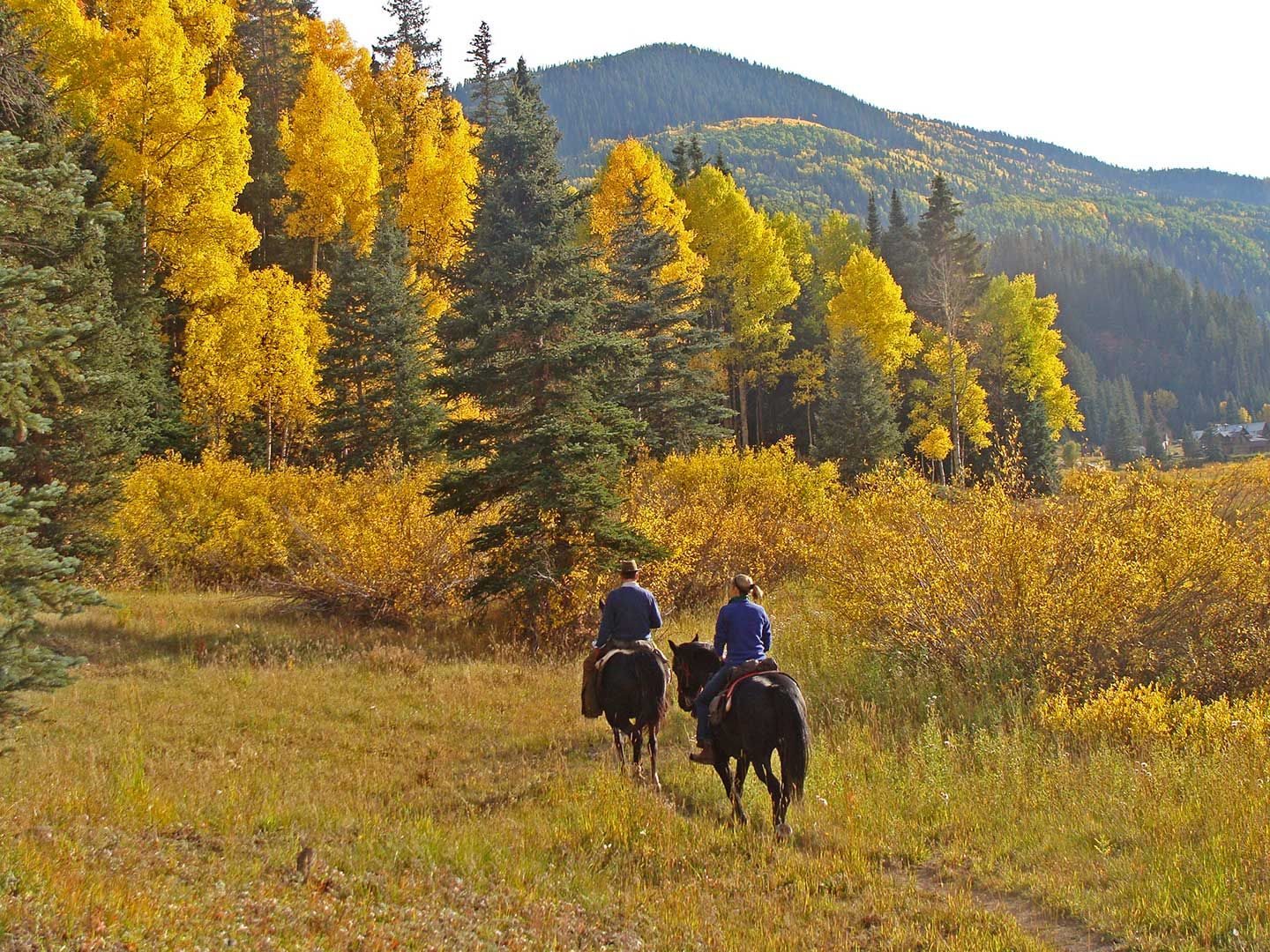 2 people riding horses through a golden forest