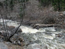 Middle Saint Vrain Creek Colorado