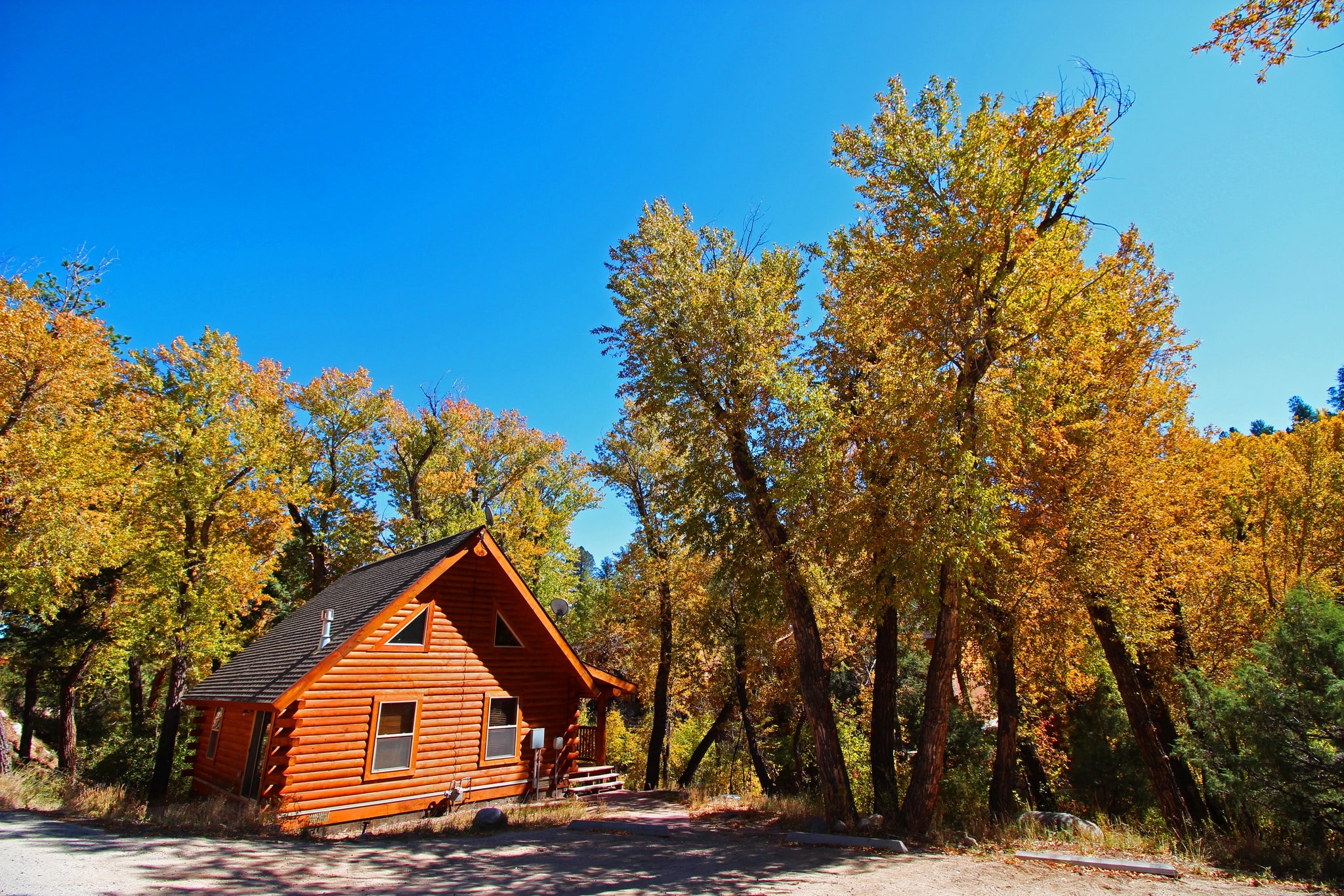 Log cabin in the forest