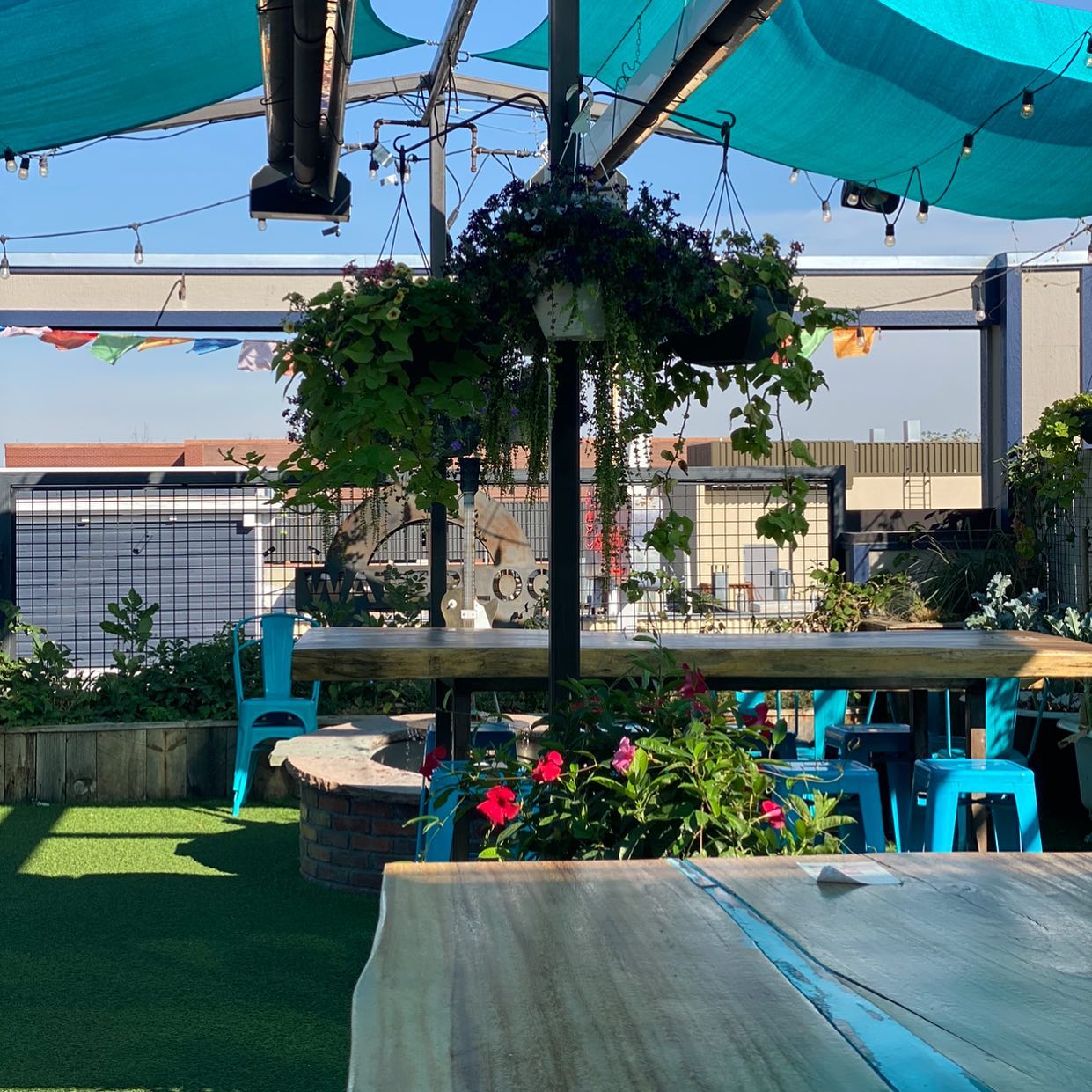 Rooftop patio with a lot of plants