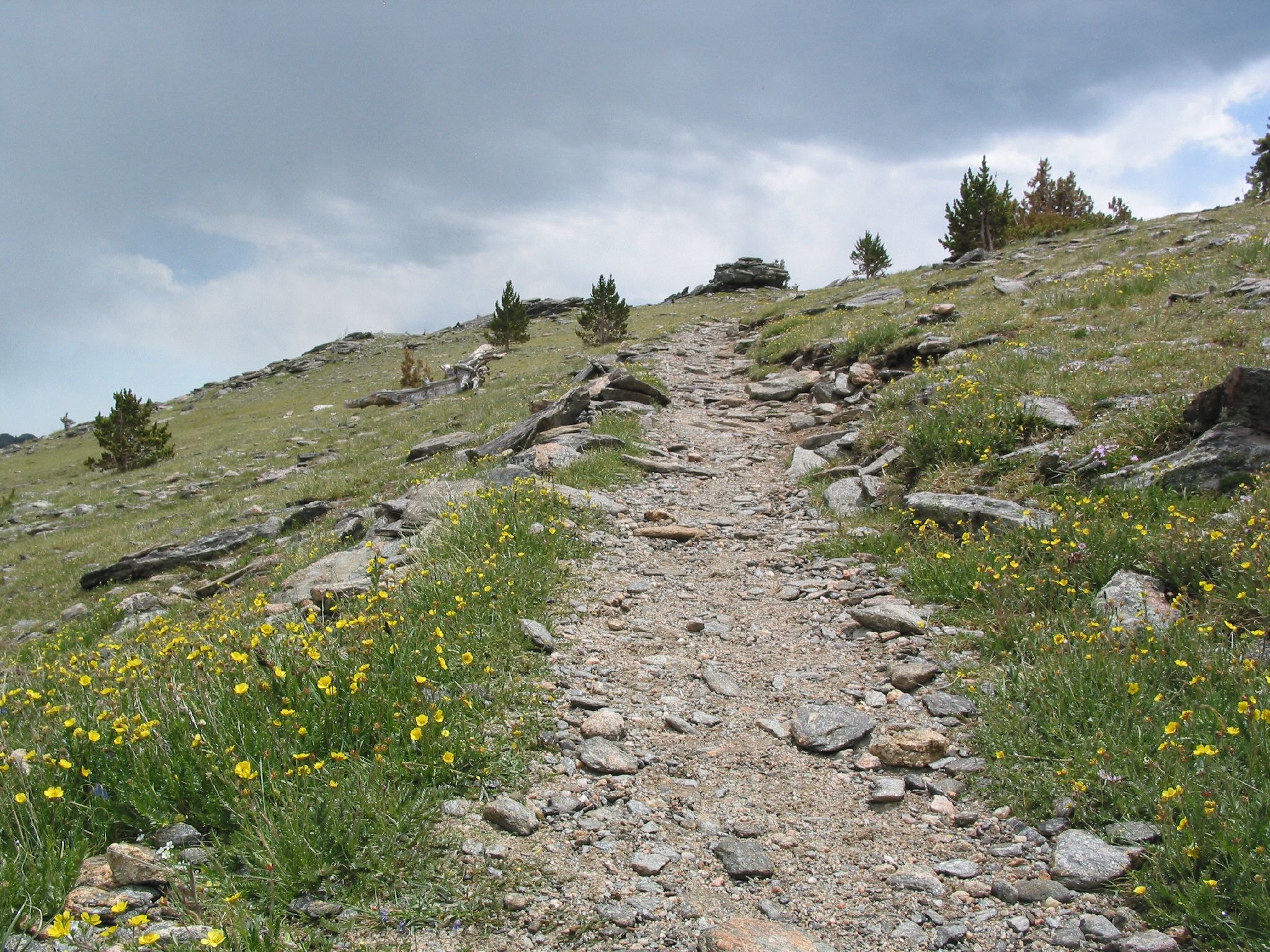 Rocky alpine trail