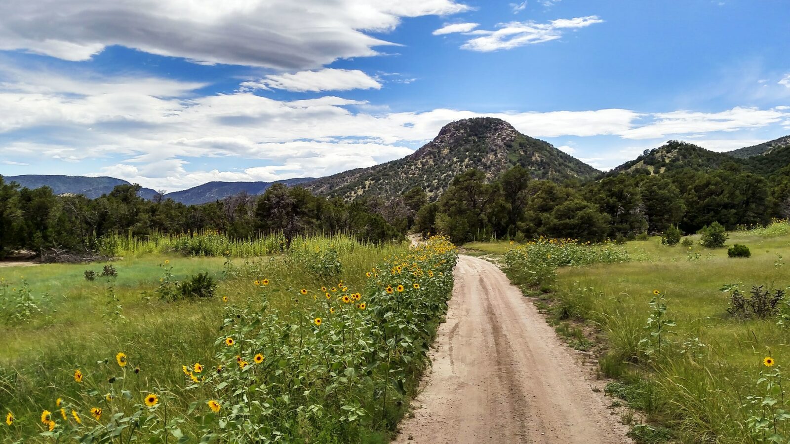 Dirt road leading into rock canyon