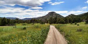 Dirt road leading into rock canyon