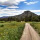 Dirt road leading into rock canyon