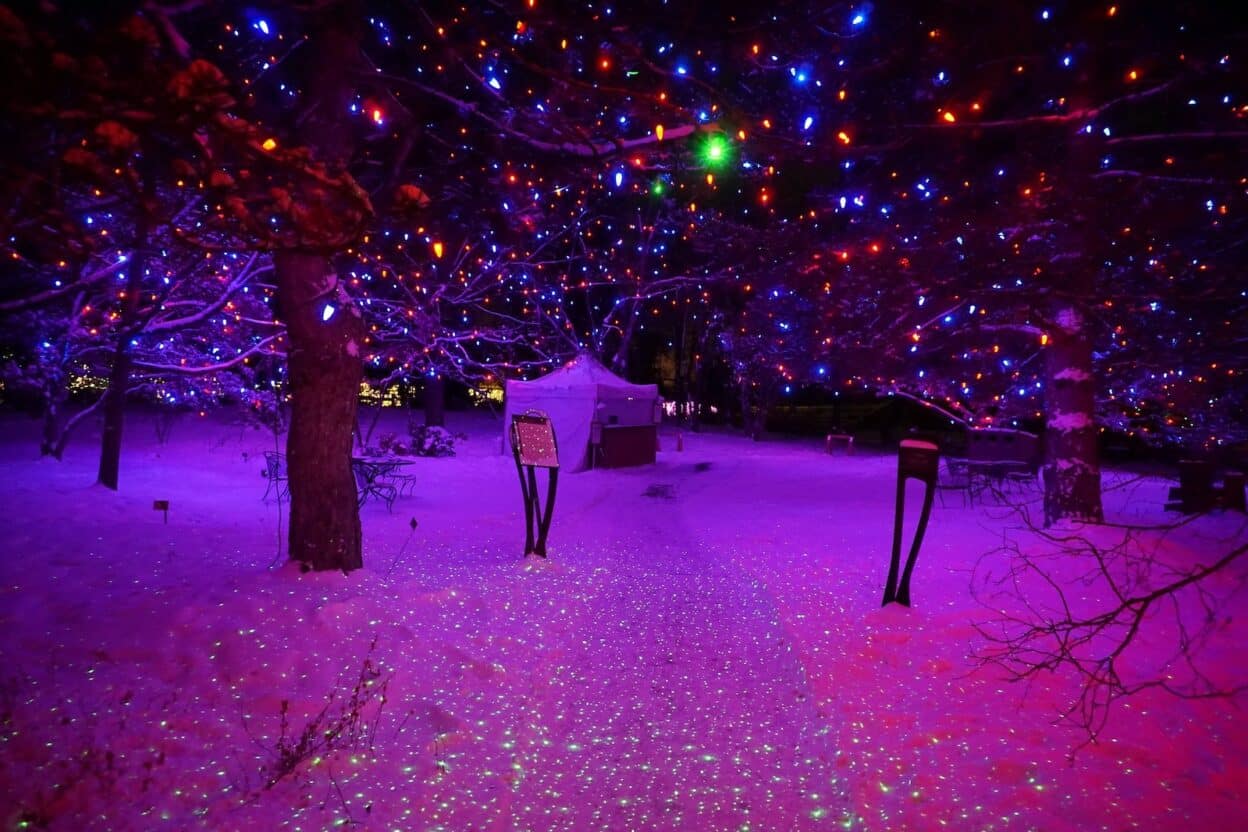 The Top Events in Denver, Colorado