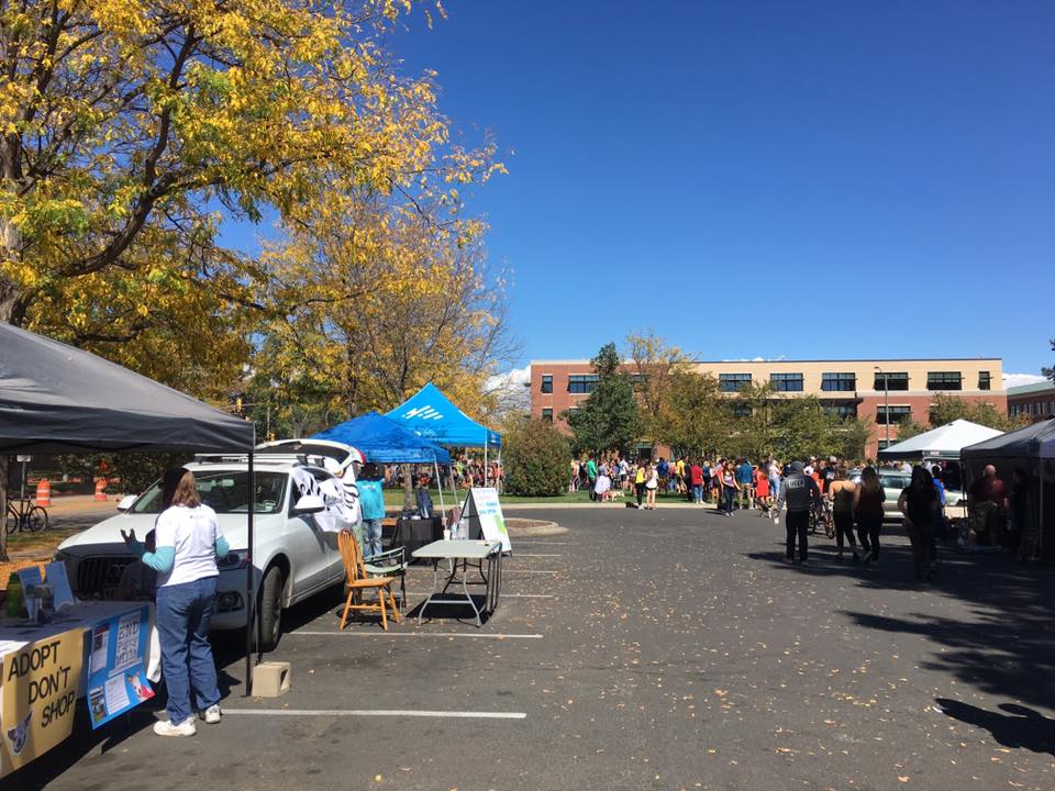 Tour de Corgi, Fort Collins, CO