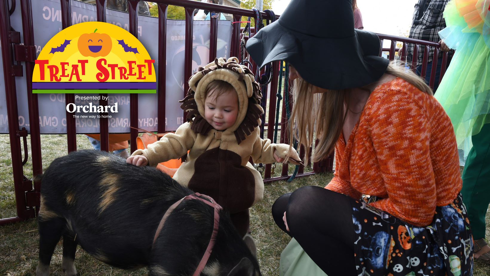 Child at petting zoo at Treat Street Aurora CO