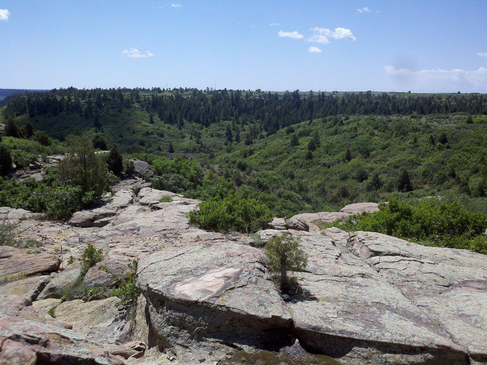 Rock formations and forest