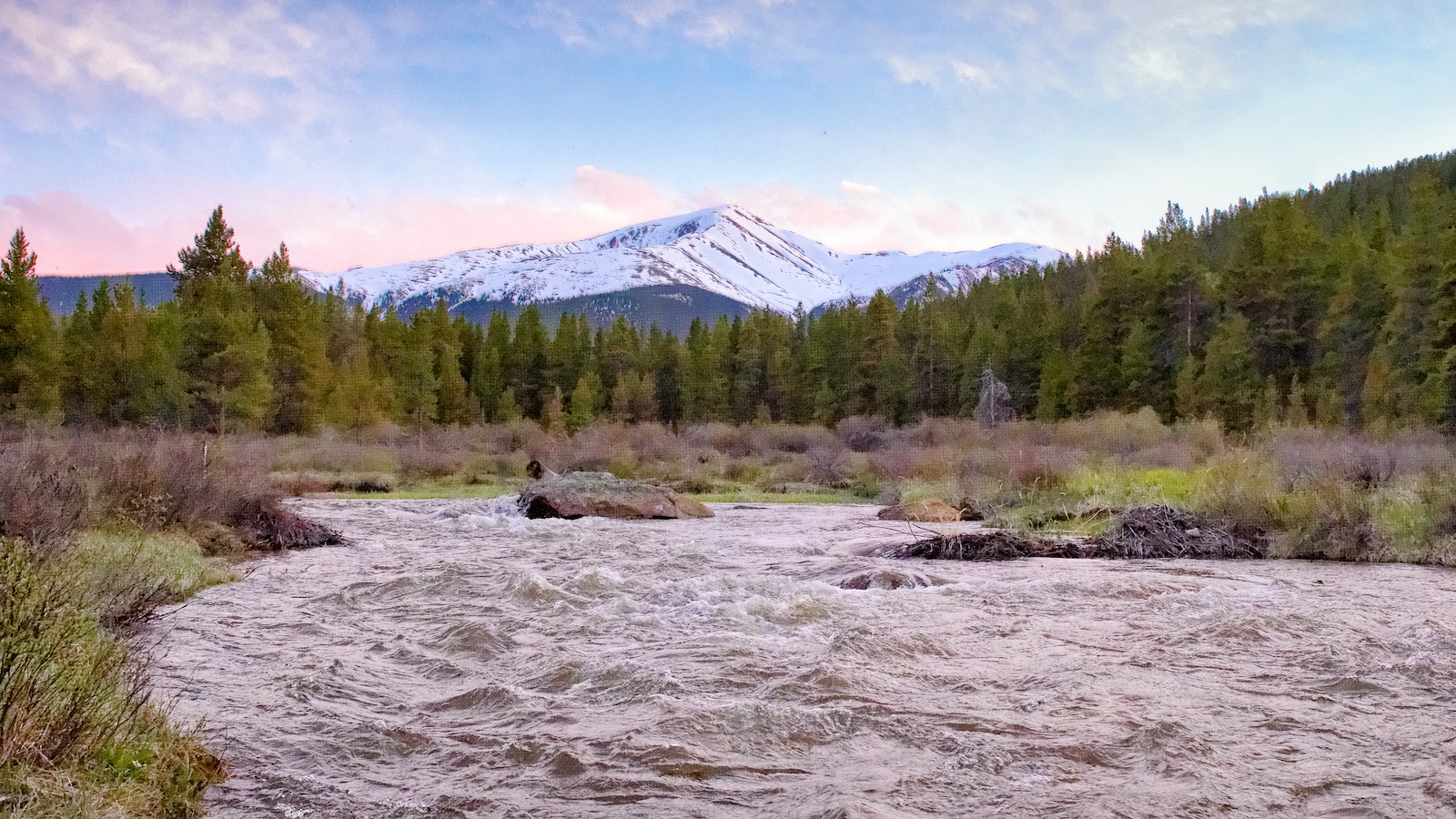 River and forest with Mount Elbert in background Colorado