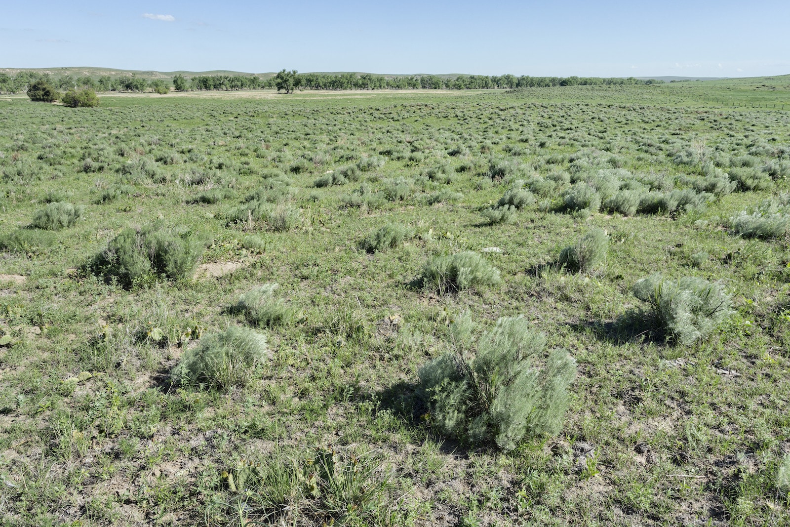 Sandy Bluff by Arikaree River Yuma County Colorado