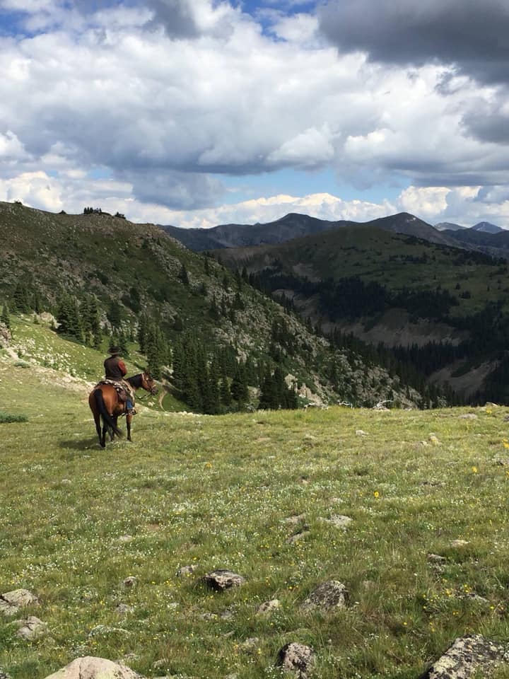 Horse and rider in field overlooking alpine valley