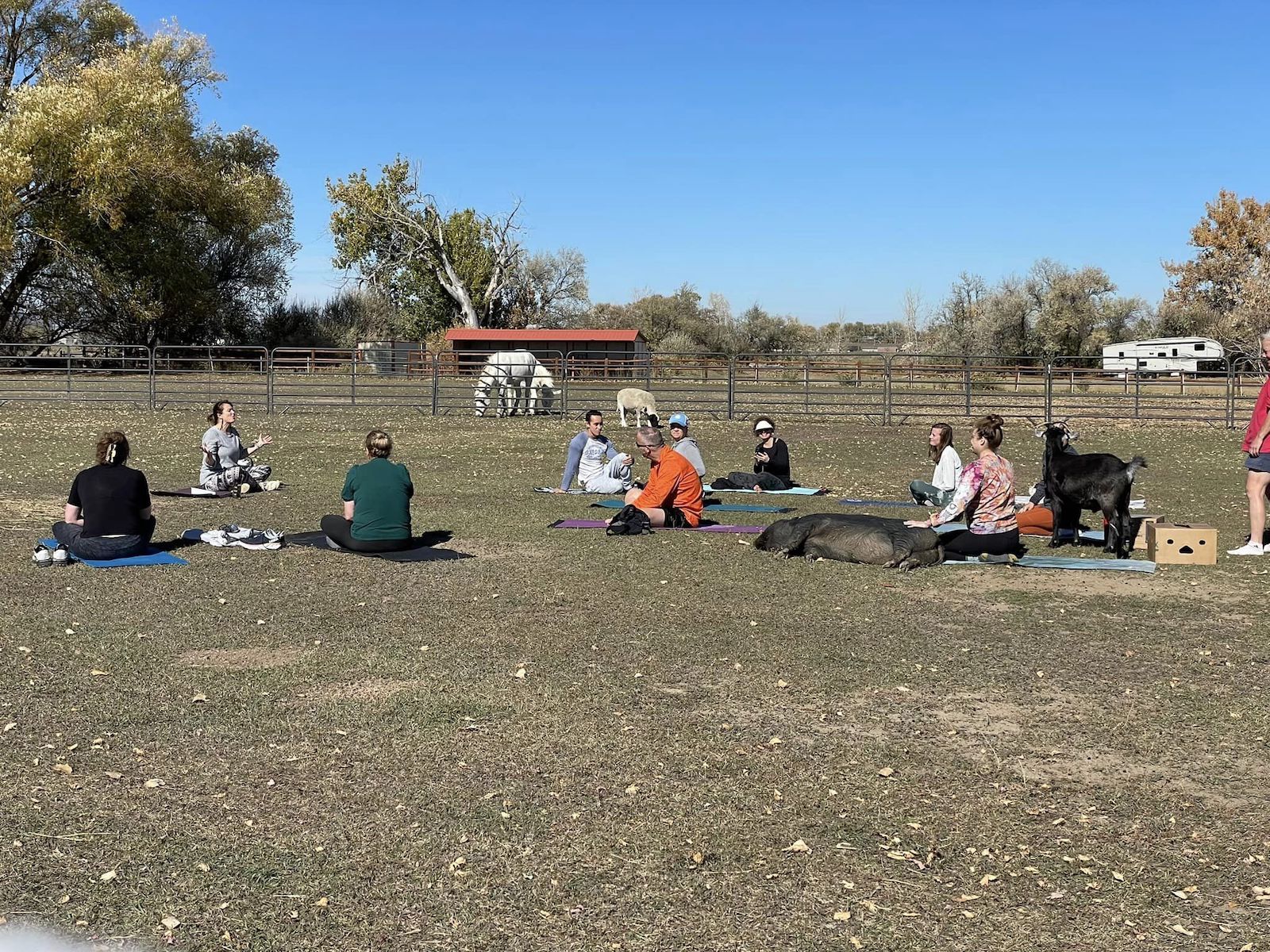 Good Life Refuge, Colorado