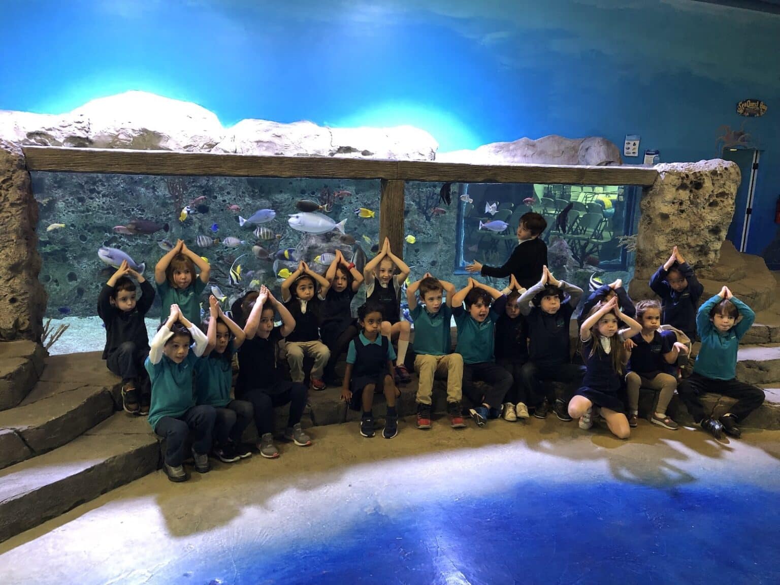 SeaQuest Littleton CO Aquarium in Denver Metro