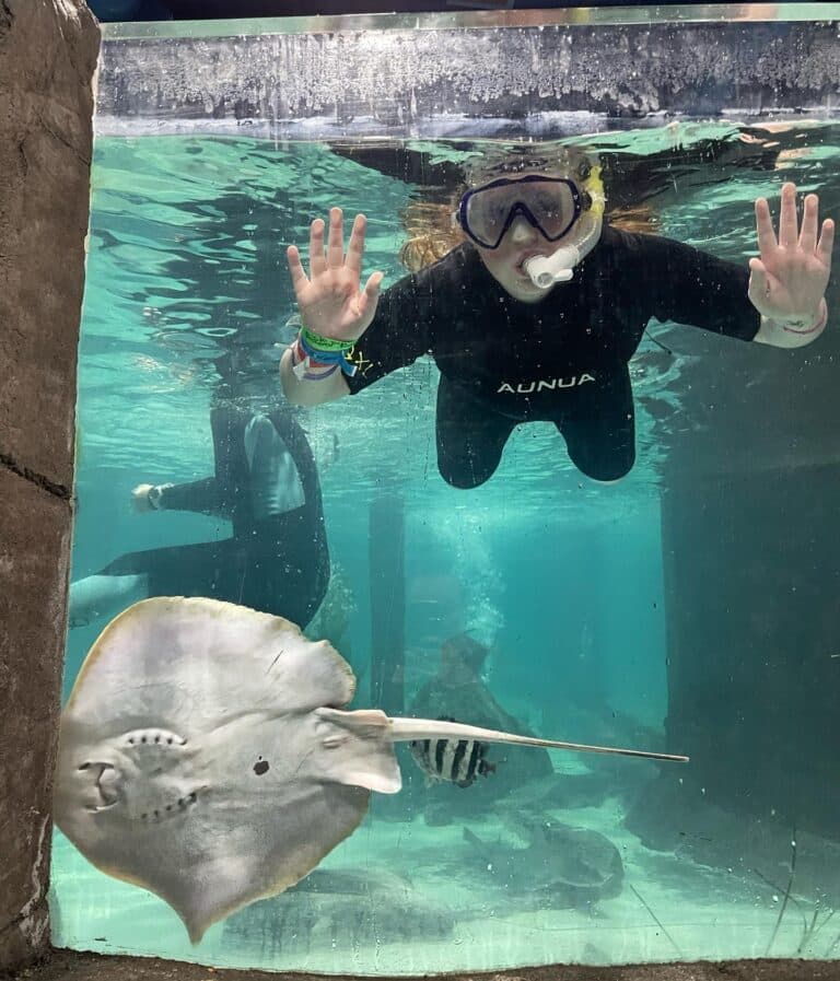 SeaQuest Littleton CO Aquarium in Denver Metro